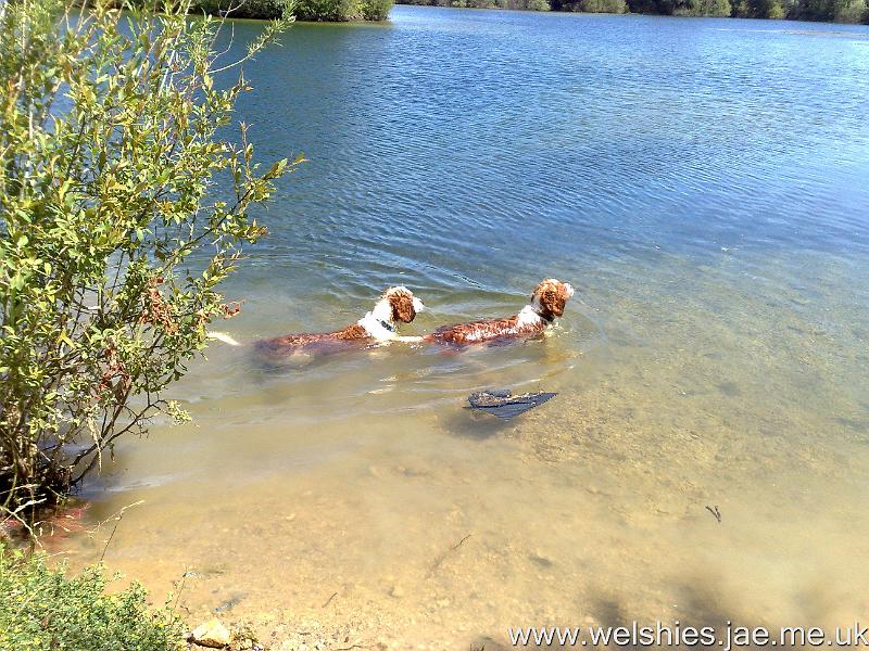 2010-07-09 02.jpg - Yes, Hal is actually swimming!